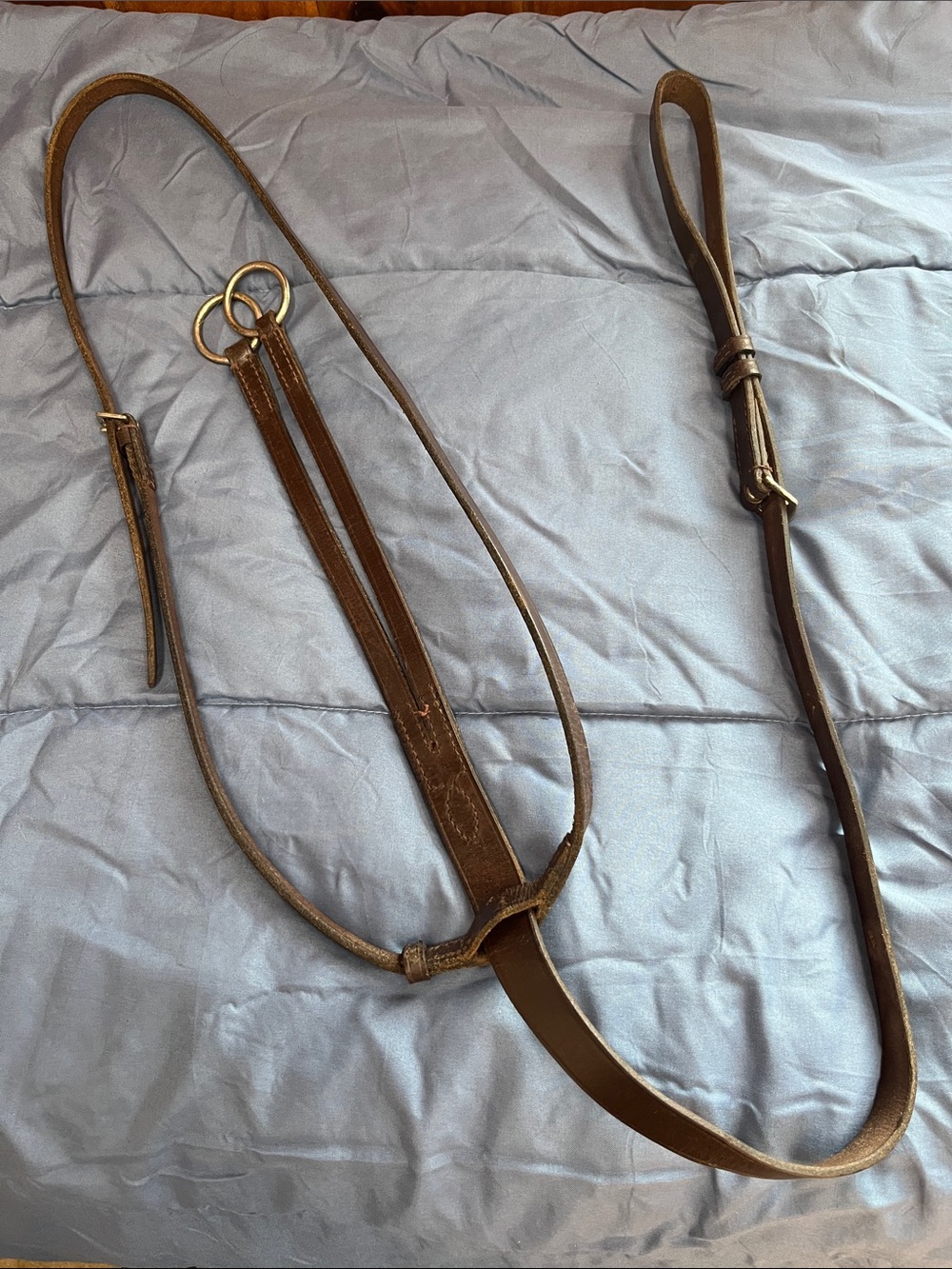 Running Martingale or Craft Leather